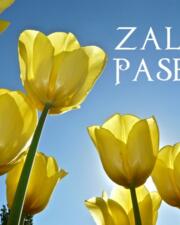 Paasfeest