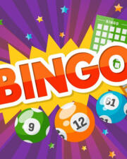 BiNgO