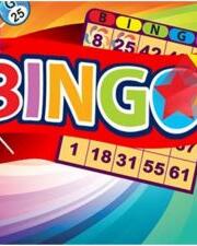 Bingo