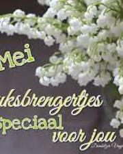 1 mei