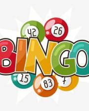 Bingo 't Dokske