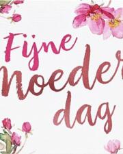 Moederdagfeest met Dj Robert & Walter 14 Aug.