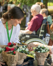 Plantjesverkoop Kom op tegen Kanker