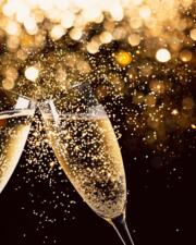 Nieuwjaarsreceptie zeelbaan