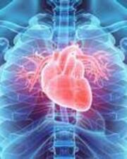 Voordracht hart en cholesterol