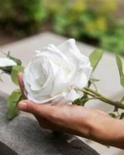 Infosessie "Rouw en verlies"