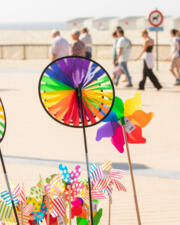 Daguitstap Knokke