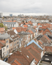 Dit lijkt een beetje op een cactus