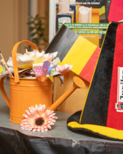 WK op groot scherm: België  - Iran