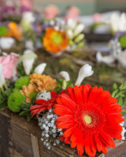 Dienstencentrum vroeger gesloten