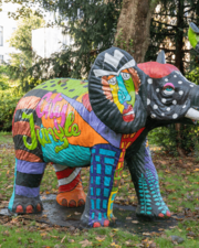 daguitstap: Mondo Verde