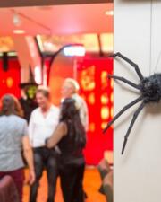 Halloween Bingo
