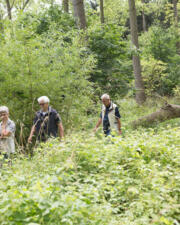 Wandeling Middelheimpark