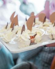 Cremerie Romanza watermeloen met ijs
