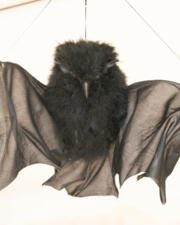 Halloween fuif