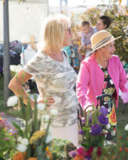zomermarkt