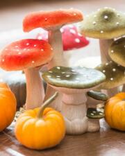 S-Plus Herfstfeest met Marco Kimsen