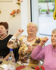 De Veldekens feest 17 mei