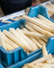 Lekkere asperges