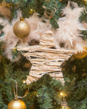 Kerstdag Dienstencentrum gesloten!