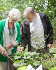 Tuinwerkdag i.s.m. Transitie Ekeren