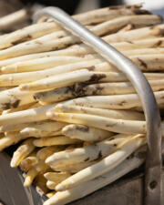 Verse asperges