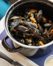 Zeehonden spotten & mosselen smullen