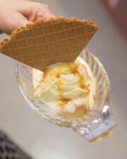 Coupe Ananas 31/7