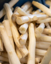 Asperges