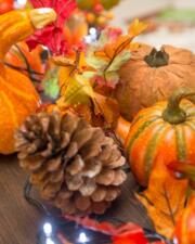Herfstwandeling