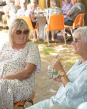 Zomerbar