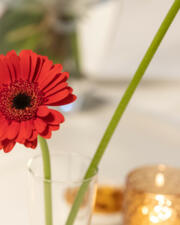 Laatavondopening - HETE BLIKSEM - NIET PIKANT