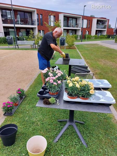 Bloemen Boortse