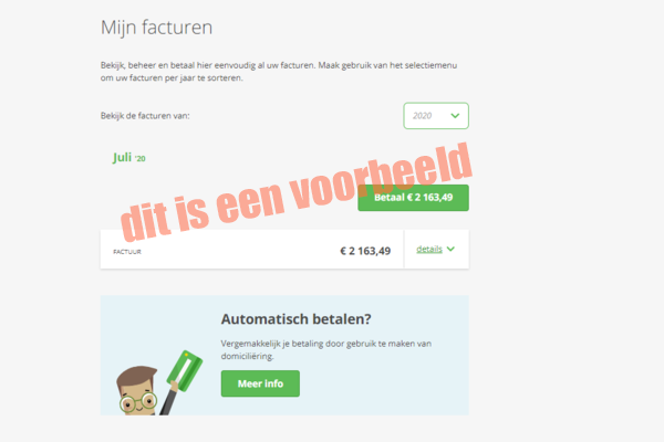 Mijn Zorgbedrijf - facturen