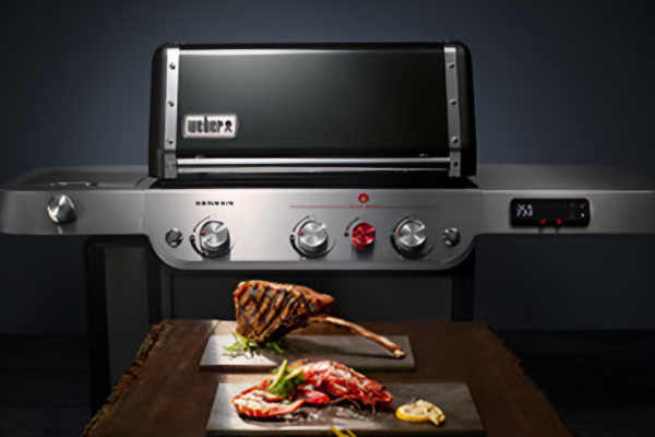 Barbecues Weber