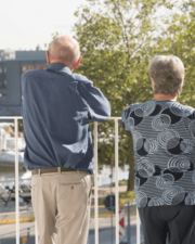 Rondrit in de haven met gids.