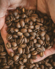 Internationale Dag van de Koffie